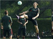 Bóng đá anh, ngoại hạng anh, lịch thi đấu euro 2012, Ibra sẽ không bắt tay Guardiola?